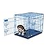 Aspen Pet Puppy 2-Door Training Retreat Crate, Blue, 24