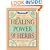 The Healing Power of Herbs: The Enlightened Person's Guide to the Wonders of Medicinal Plants