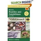 Click here to buy A Field Guide to Western Reptiles and Amphibians (Peterson Field Guides (R)) by  Robert C. Stebbins and Roger Tory Peterson.