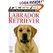 Dog Breed Handbooks: Labrador Retriever