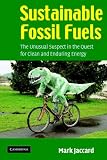 Sustainable Fossil Fuels: The Unusual Suspect in the Quest for Clean and Enduring Energy