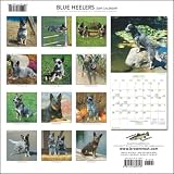Blue Heeler STREET SIGN ~ High Quality Aluminum ~ Dog Lover