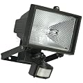 500 Watt Halogen Lamp