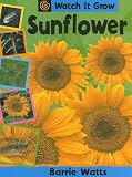 Books : Sunflower (Watts, Barrie. Watch It Grow,)