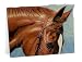 Art on Stone - Power and Speed Class by Janet Griffin-Scott (Art Print Applied to Sto...