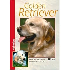 Golden Retriever (Heimtiere)