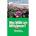 Was bl�ht am Mittelmeer?: Mittelmeerpflanzen nach Farbe bestimmen. 750 Arten