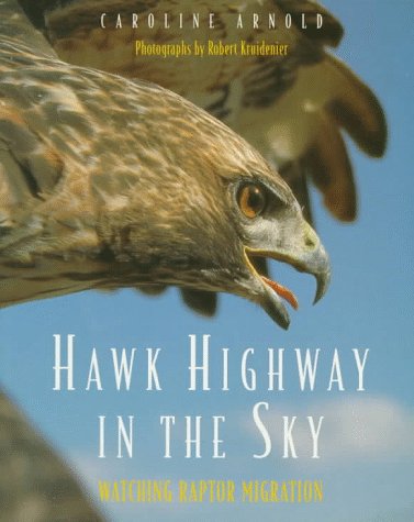 Hawk Highway in the Sky: Watching Raptor Migration