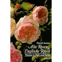 Alte Rosen und Englische Rosen. Tr�ume in Duft und Farbe.