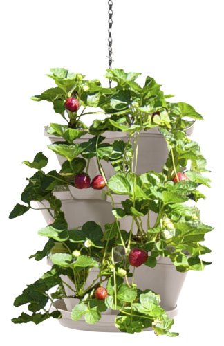 Complete Strawberry Growing Kit: Garden Stacker Planter + Indoor Strawberry Garden Starter Kit - Makes a Great Gift Idea