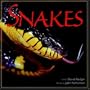 Snakes (Wildlife)