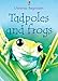 Tadpoles and Frogs (Usborne beginners series)