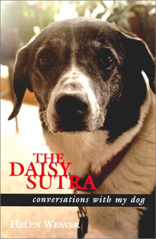the daisy sutra
