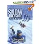 Snow Treasure