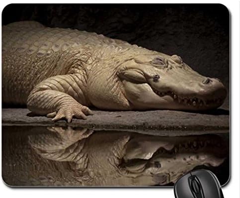 white alligator Mouse Pad, Mousepad (Reptiles Mouse Pad)