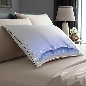Pacific Coast Tria Blend Pillow Queen 20 X 30 Vivgitagiaami