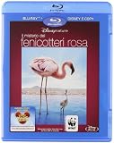 Il Mistero Dei Fenicotteri Rosa (Blu-Ray+E-Copy)