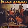 Flamingo/Teenage Head