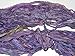 100% Silk 100g Pure Silk Yarn Milk Shade