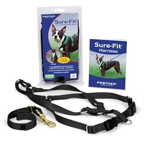 Premier Pet Sure Fit Harness with Matching Car Control Strap