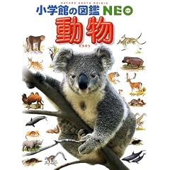 ���� (���w�ق̐}��NEO)