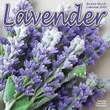 Lavender 2009 Wall Calendar 12 X 12