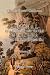 Books : Journal of a Residence and Travels in Colombia during the Years 1823 and 1824: Volume 2