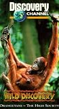 Wild Discovery: Orangutans [VHS]