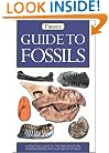Guide to Fossils (Firefly Pocket series)