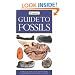 Guide to Fossils (Firefly Pocket series)