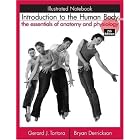 Introduction to the Human Body, Illustrated Notebook: The Essentials of Anatomy and... by  Gerard J. Tortora and Bryan H. Derrickson