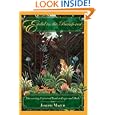 Euclid in the Rainforest: Discovering Universal Truth in Logic and Math by Joseph Mazur