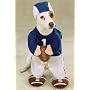 MEDIUM - FOOTBALL FEVER - Pet Halloween Costume
