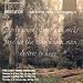 Beethoven: The Last Three Piano Sonatas