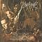 Discover a wide variety of amazing metal albums