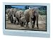 Toshiba 32HL84 32-Inch Theaterwide HDTV-Ready Flat-Panel LCD TV
