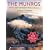 The Munros - Scotland's Highest Mountains