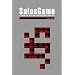 The Salesgame: A Guide to Selling Professional Services