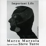 Important Life
