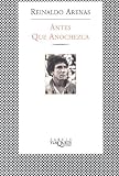 Antes que anochezca