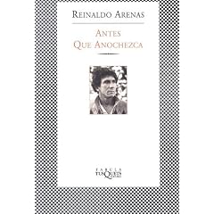Antes que anochezca