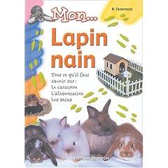 Mon lapin nain