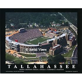 NCAA Florida State Seminoles Doak Campbell Stadium Aerial
