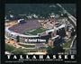 NCAA Florida State Seminoles Doak Campbell Stadium Aerial