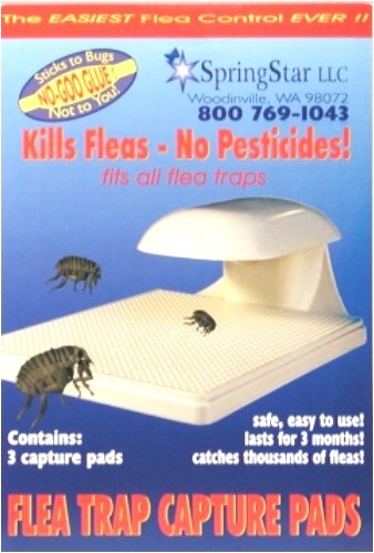 Springstar S103 Flea Trap Capture Pads - 3 Pads Per Box