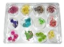 12 designs Dried flowers Nail Art Tip Decoration