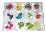 12 designs Dried flowers Nail Art Tip Decoration