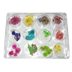 12 designs Dried flowers Nail Art Tip Decoration by Eamee