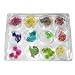 12 designs Dried flowers Nail Art Tip Decoration