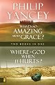 What's So Amazing About Grace?